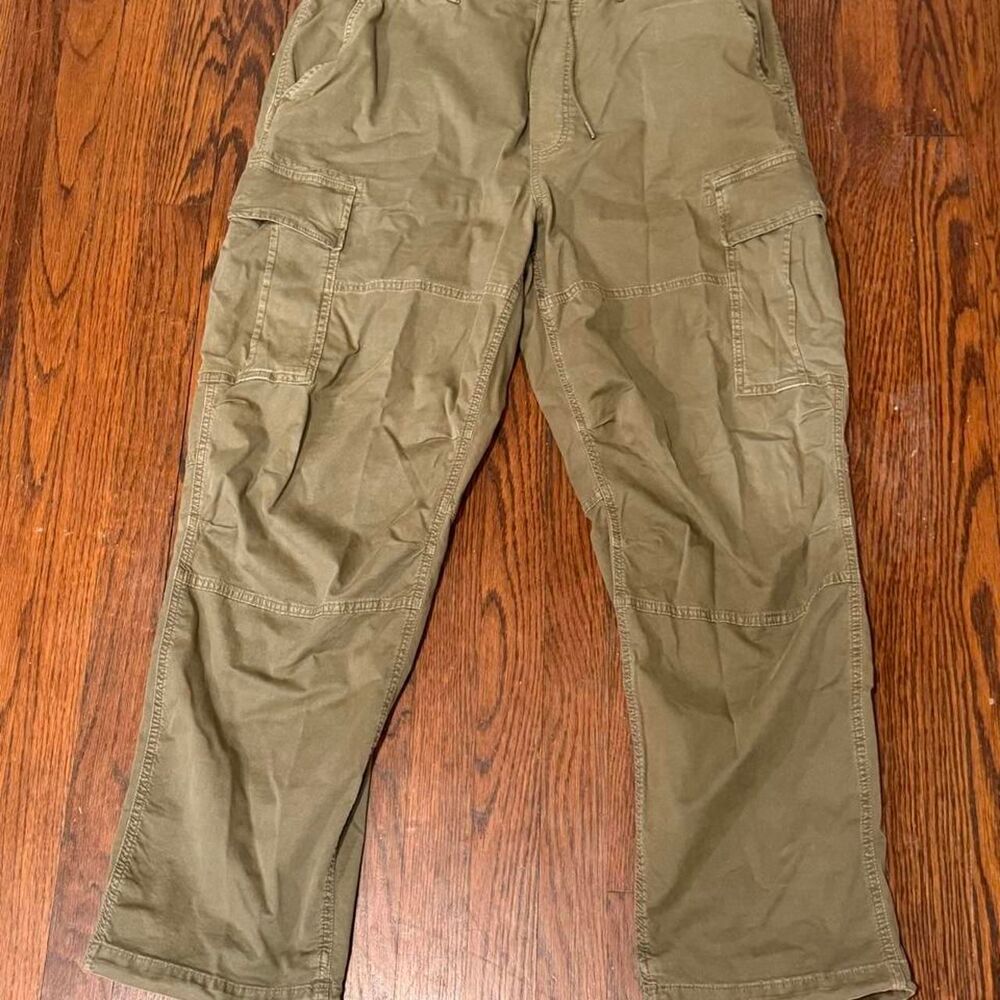 American-eagle Men's Navy green Flex pants